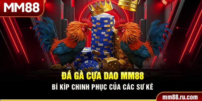 Đá Gà Cựa Dao MM88 – Bí Kíp Chinh Phục Của Các Sư Kê